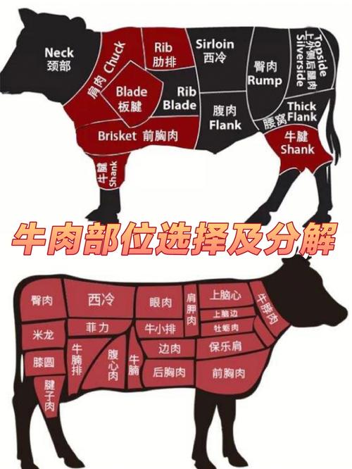 牛肉脂肪含量最少的部位