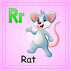 老鼠英语怎么读
