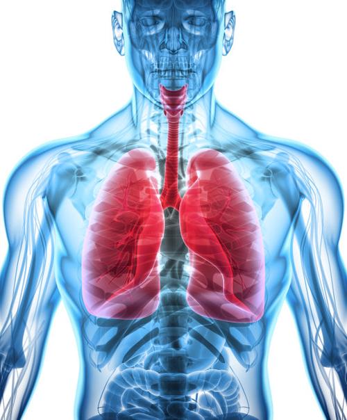 肺部图片大全高清大图