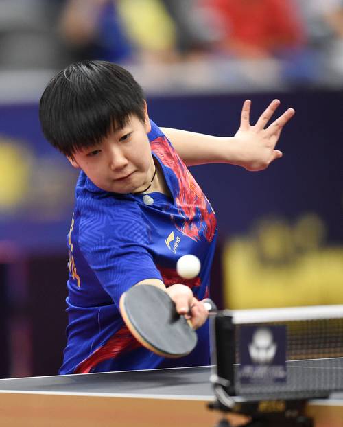 中国乒乓球运动员的相关图片