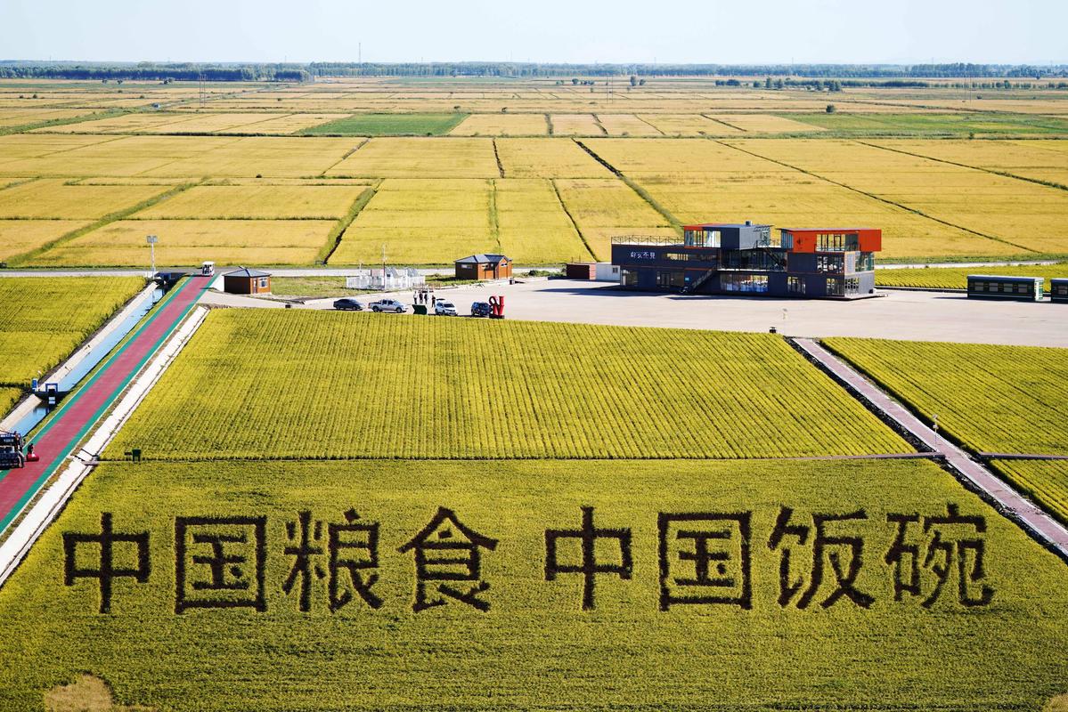 中国粮食主产区的相关图片