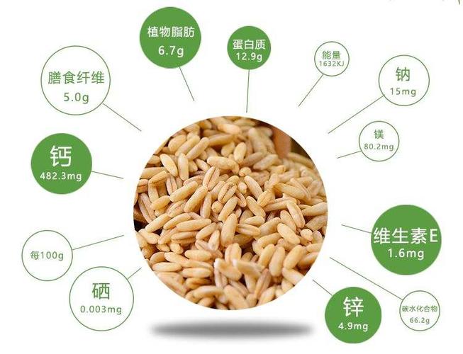 燕麦的营养价值的相关图片