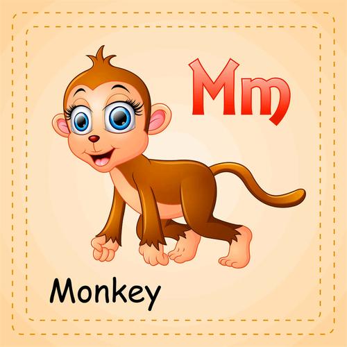 猴子的英文怎么写的相关图片