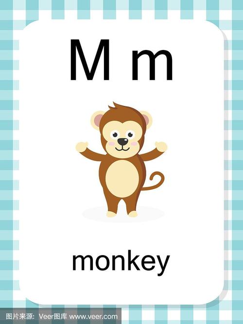 猴子的英语怎么说的相关图片