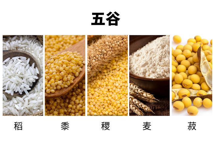 稻粱菽麦黍稷的相关图片