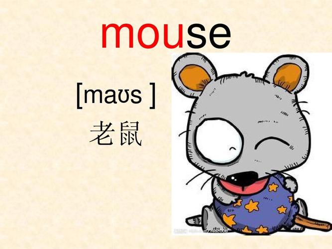 老鼠英语怎么读的相关图片