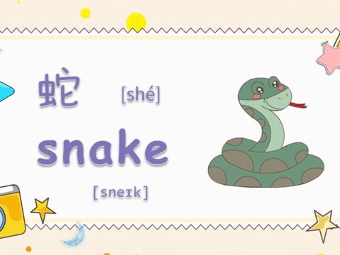 蛇英语怎么读的相关图片